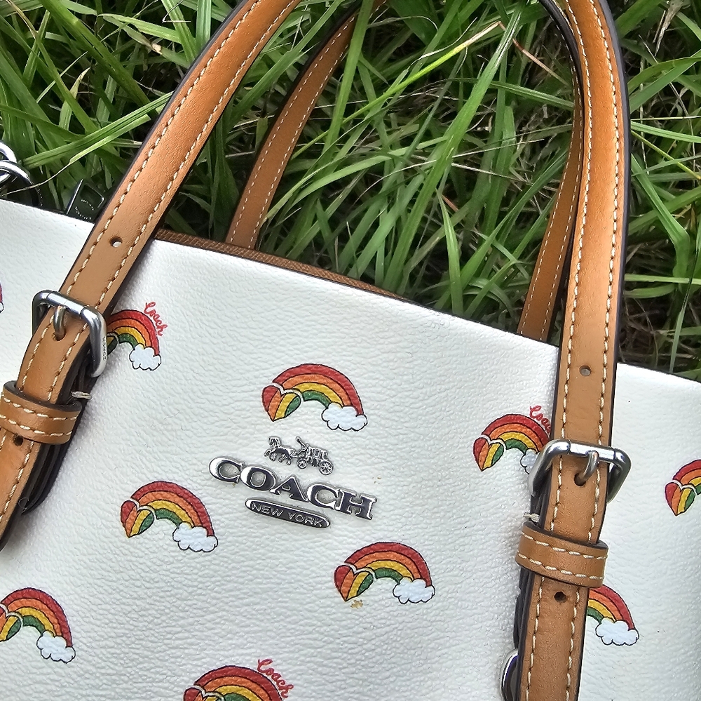 Rainbow Print Coach Mollie Tote
